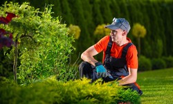 Essential Tips for Effortless Garden Maintenance