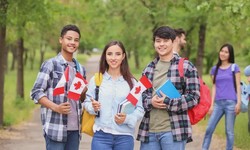 France Education Consultants in Kerala  Your Gateway to Study Abroad