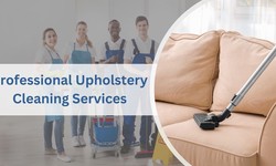 How Professional Upholstery Cleaning Can Benefit You