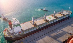 A Focus on SeaSchiffe: Dry Bulk Shipping Companies in the UAE