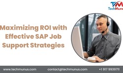 Maximizing ROI with Effective SAP Job Support Strategies