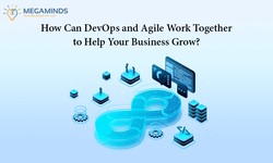 How Can DevOps and Agile Work Together to Help Your Business Grow?