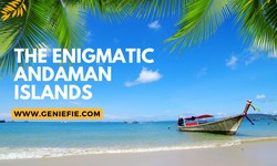 7-Day Family Itinerary in Andaman and Nicobar Islands