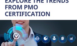 Explore the Trends from PMO Certification