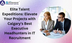 The Ultimate Guide to IT and Executive Headhunters in Calgary