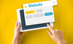 Why You Should Invest in Professional Ecommerce Website Development