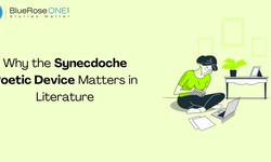 Why the Synecdoche Poetic Device Matters in Literature