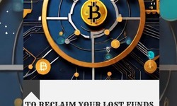 TRACE & RETRIEVE CRYPTOCURRENCY ASSETS & FINANCIAL LOSSES// HACKATHON TECH SOLUTION