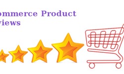 Maximizing Product Success Through In-Depth Review Analysis