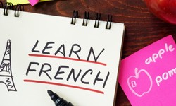 Mastering French: Comprehensive French Language Course for All Levels