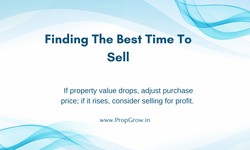 Finding The Best Time To Sell