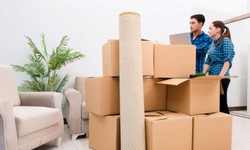 The Top Packers and Movers Unveiled
