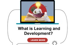 What is Learning and Development?