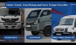 Picking Between Eicher Truck, Tata Pickup, Force Tempo Traveller