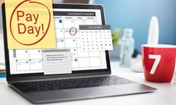 How Does Payroll Software for Accountants Help?