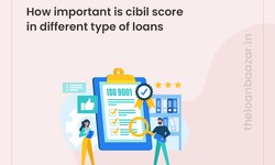How important is cibil score in different types of loans?