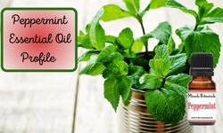 Enhance Your Skincare Routine with Peppermint Essential Oil