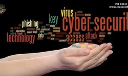 The Human Element: Why Cyber Experts are Essential in the Digital Age
