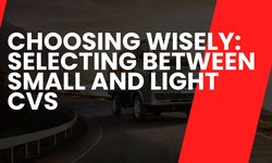 Choosing Wisely: Selecting Between Small and Light CVs