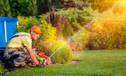 Advanced Tips for DIY Lawn Care Every Homeowner Needs