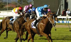 A Beginner's Guide to Investing in Racehorse Shares