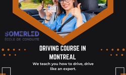 Driving School Somerled: Your Path to Confident Driving