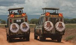 Top National Parks and Game Reserves in Kenya: A Wildlife Wonderland Awaits