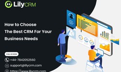 How to Choose the Best CRM For Your Business Needs - LilyCRM