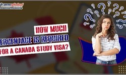 How Much Percentage is Required for a Canada Study Visa?