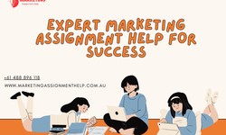 Expert Marketing Assignment Help for Success