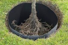Root Control Made Easy: Harnessing the Power of HDPE Barriers