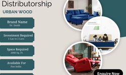 Exploring the World of Sofa Distributors: A Comprehensive Overview