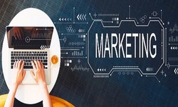 The Impact of Digital Marketing on Software Services