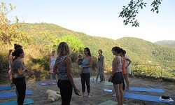 Unlocking the Transformative Power of Yoga Teacher Trainings and Retreats