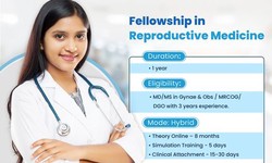 Fellowship in Reproductive Medicine: Here’s what you need to know…