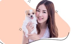 Why Flight Nanny Jobs Are Essential for Pet Travel