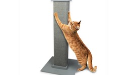 Shopping for Cat Scratching Post Online: Tips and Top Picks