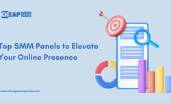 Top SMM Panels to Elevate Your Online Presence