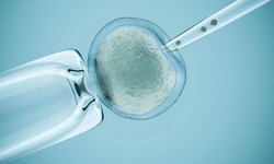 How Age Affects Fertility: Insights from the Best Fertility Hospital in Bangalore