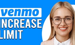How Much Can You Send on Venmo After Verification?