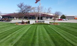 8 Essential Things to Remember For Your Lawn Care Services in Madison, Wisconsin
