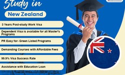 Your Guide to New Zealand Study Visa Consultants