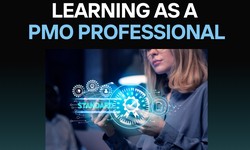 Learning as a PMO Professional