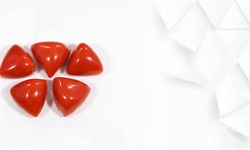 Which Shape of Red coral is best?