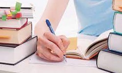 The Power of Academic Validation: Elevate Your Learning Journey with Sienna & Slate