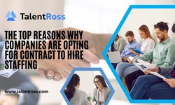 The Top Reasons Why Companies Are Opting for Contract to Hire Staffing