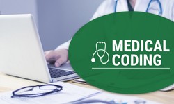Understanding Medicare Billing Services