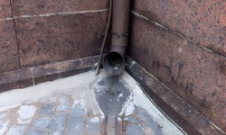 Why Regular Drain Surveys are Important for Glendenning Businesses