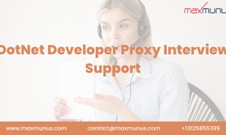 What is a .NET Developer Proxy Interview?
