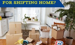 How Transparent Pricing Helps Hiring the Best Packers and Movers in Adyar?
